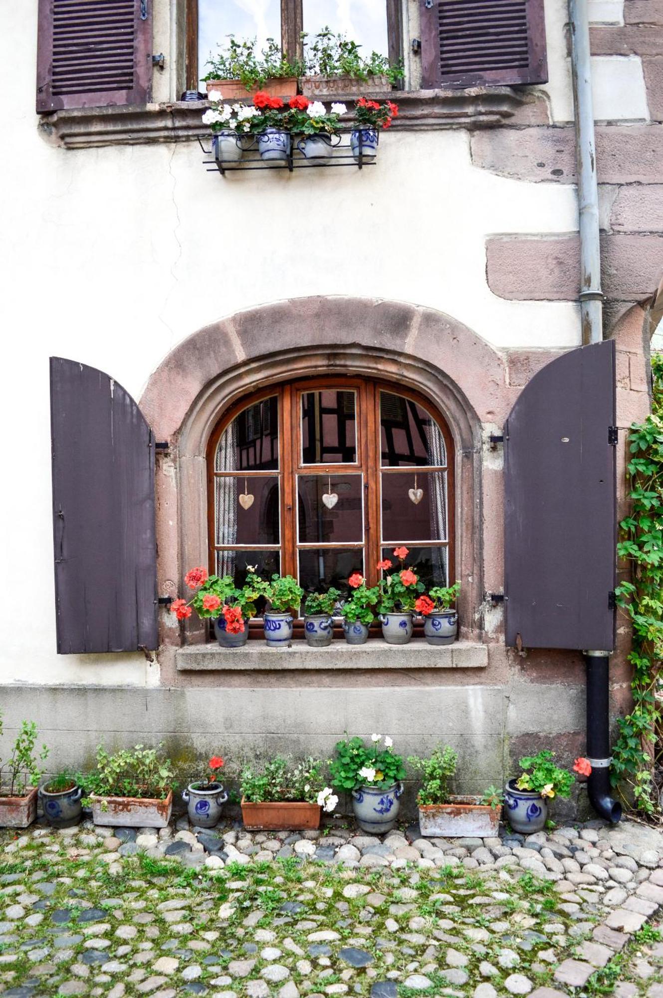 Appartement Chaud'Vin à Kaysersberg-Vignoble Extérieur photo