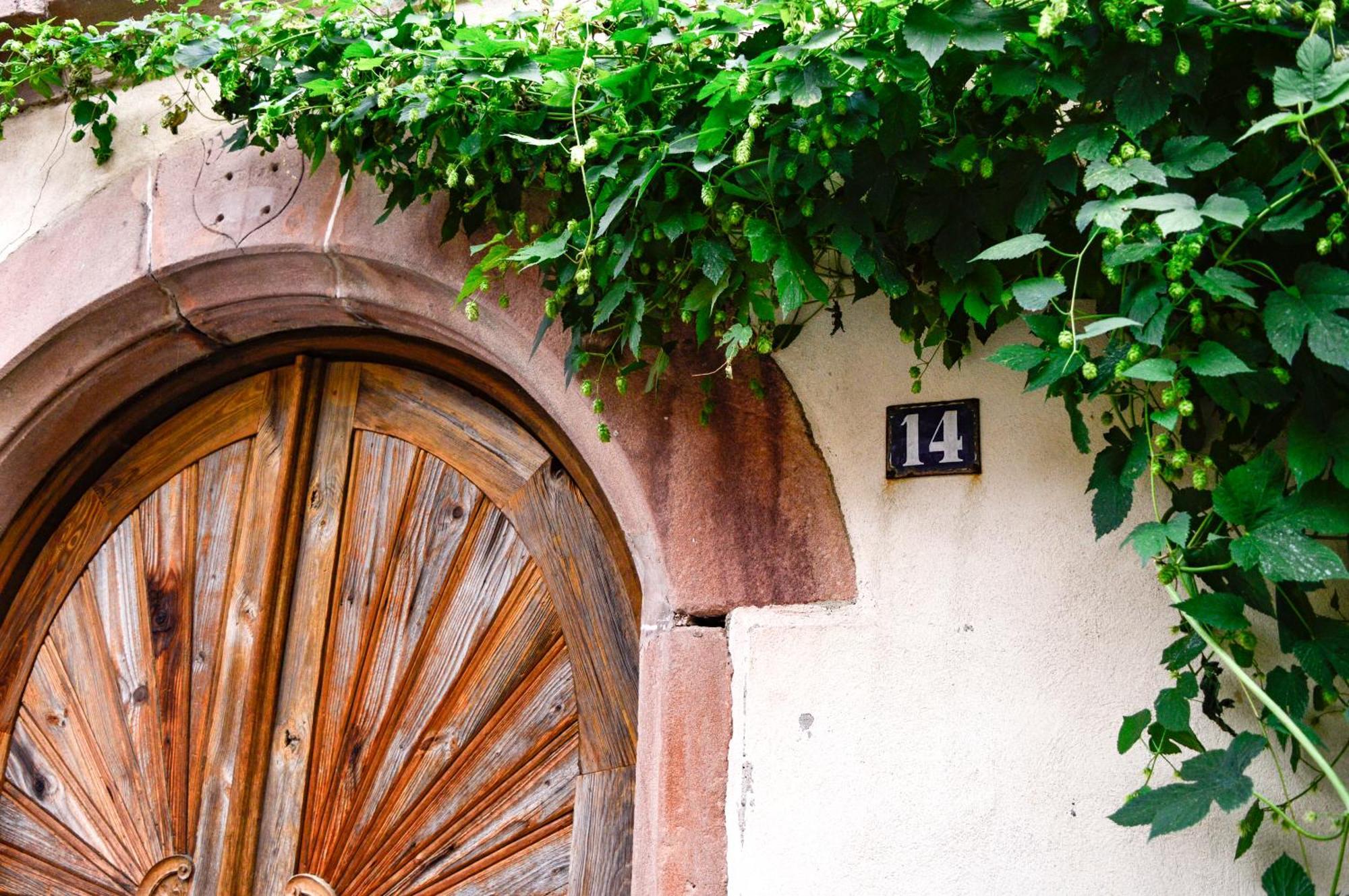 Appartement Chaud'Vin à Kaysersberg-Vignoble Extérieur photo