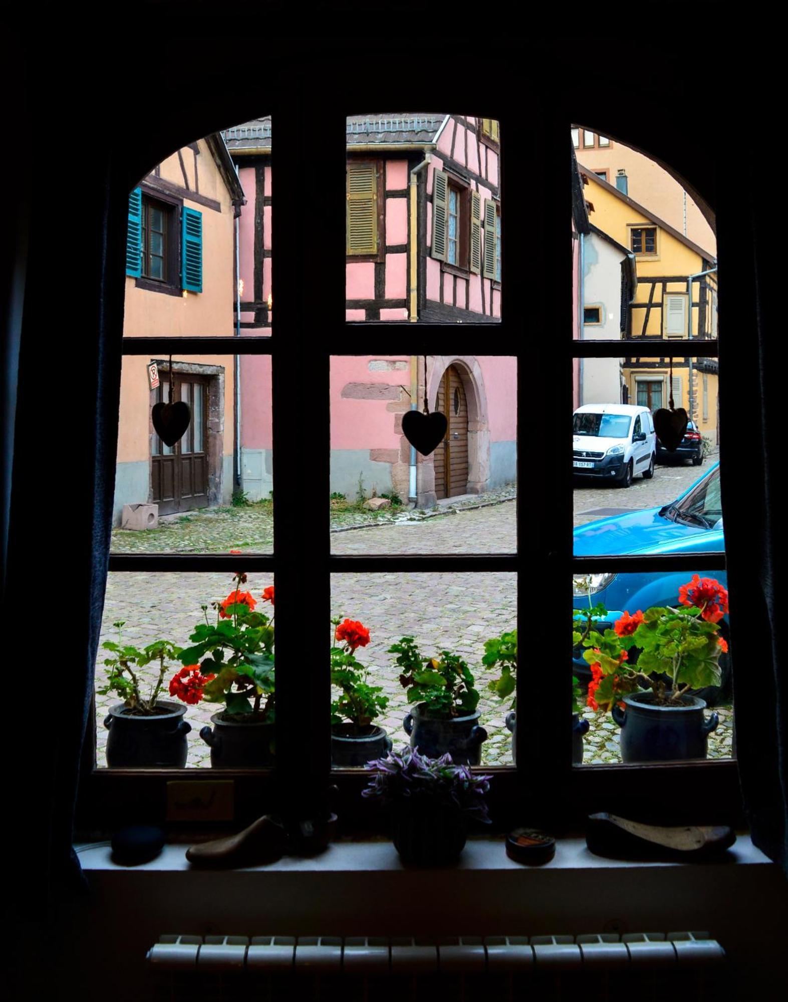 Appartement Chaud'Vin à Kaysersberg-Vignoble Extérieur photo